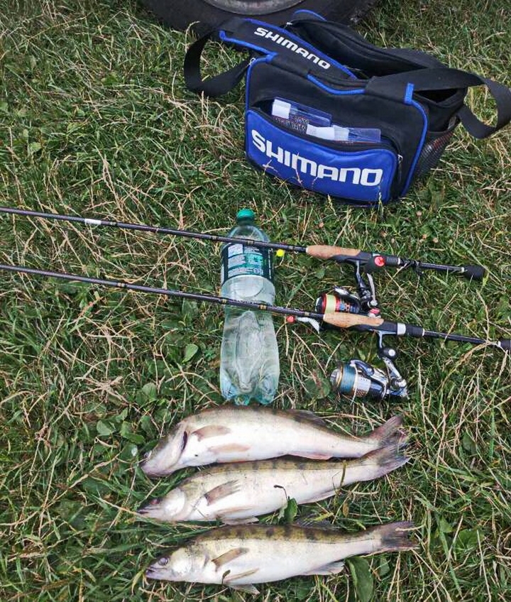 14.08.20г-В работе новый силикон Angry Baits (Killer Lip 2.0&quot;).