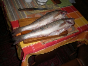175