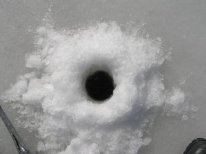 1331