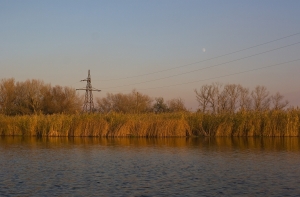 по низовьям Ворсклы. Ноябрь 2011.