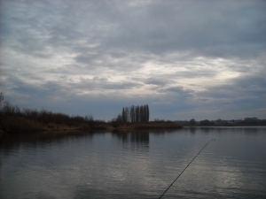 2003