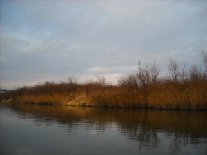 2004