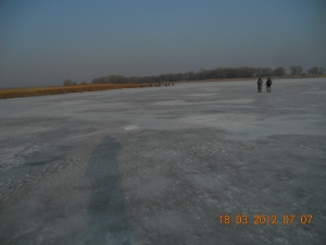 2012 рыб