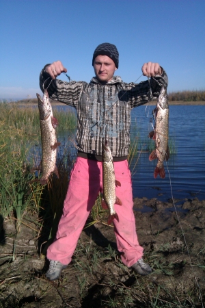 рыбки