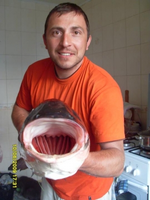 2638