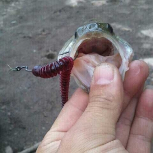 3035