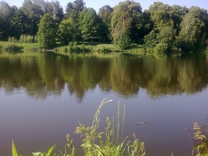 Киевская обл., н.п. Немешаево