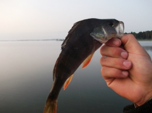 Хмельницкая АЕС водохранилище