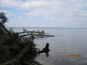 Карачуновское водохранилище