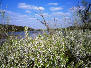 Водоем у Жоры