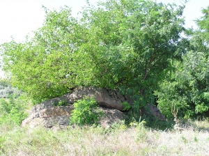 5830