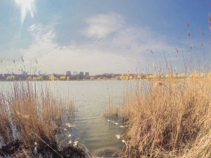 Прогулка 09.04.2014