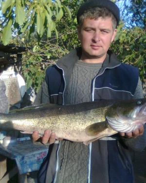 р. Высь