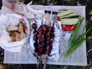 Мои шашлыки