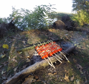 Шашлык жарится