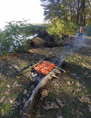 Шашлычок на фоне речки