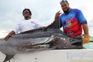 Blue Marlin 180кг. Такой экземпляр попадается раз в 3 года.