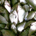 128