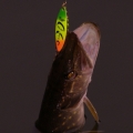 1394
