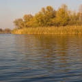 1973