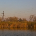 1975