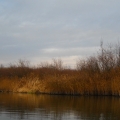 2004