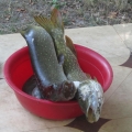 2895