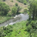 Карачуны