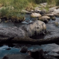 камушек