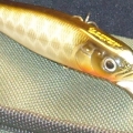 5170