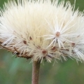 6180