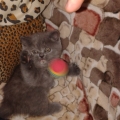 6774