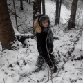В лесу с краечку